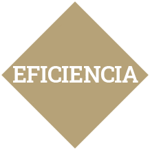 eficiencia