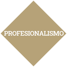 profesionalismo p